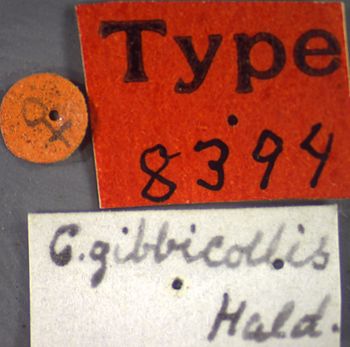 Media type: image;   Entomology 8394 Aspect: labels